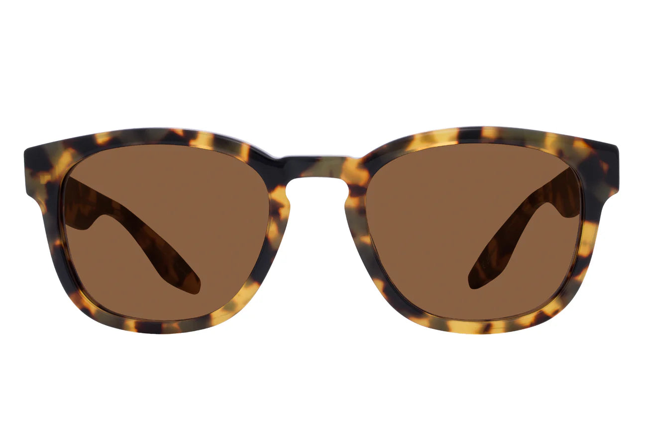 Nelson - Tokyo Tortoise/Espresso
