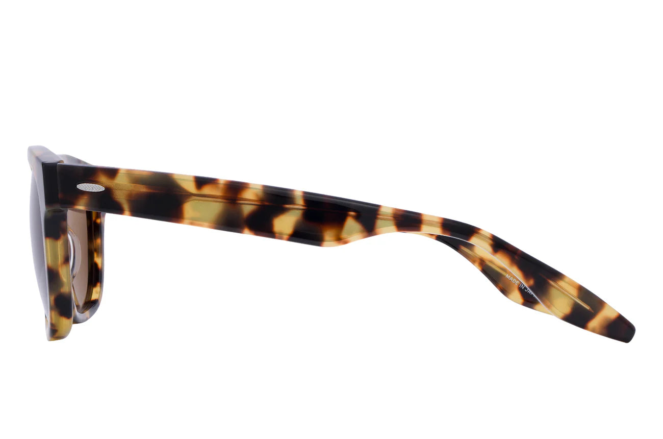 Nelson - Tokyo Tortoise/Espresso