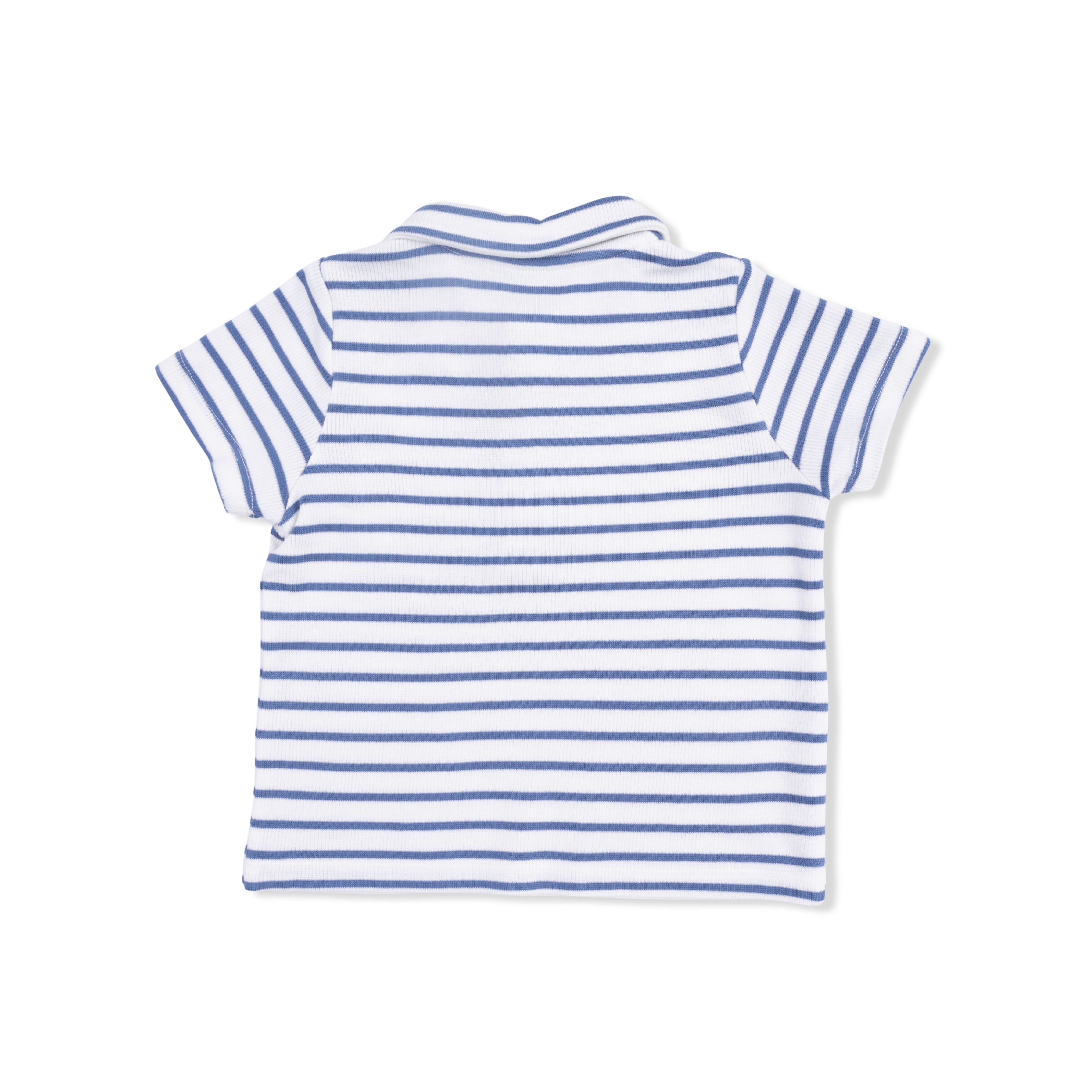 Polo with Everyday Short - Navy Stripe