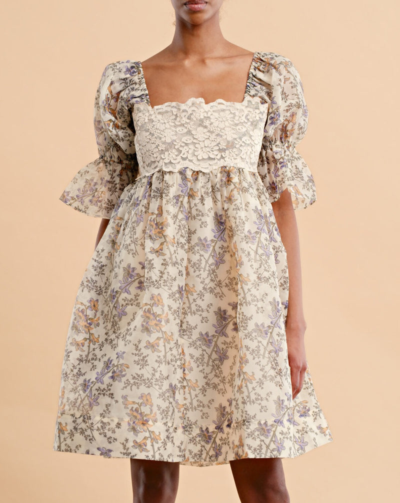 Organza Mini Lace Dress